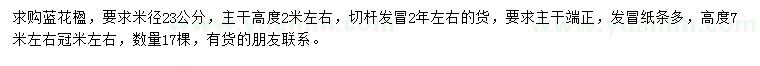求購米徑23公分購藍(lán)花楹