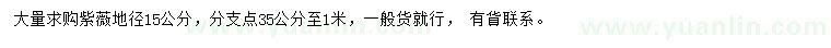 求購地徑15公分紫薇