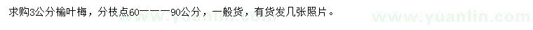 求購3公分榆葉梅