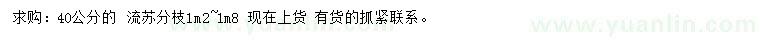 求購40公分流蘇