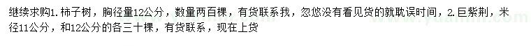 求購胸徑12公分柿子樹、米徑11、12公分巨紫荊