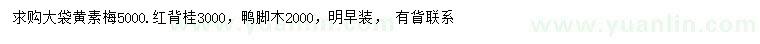 求購黃素梅、紅背桂、鴨腳木