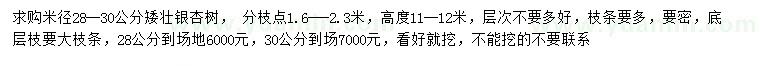 求購(gòu)米徑28、30公分銀杏