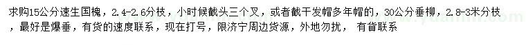 求購15公分速生國槐、30公分垂柳