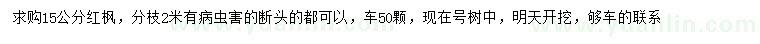 求購15公分紅楓