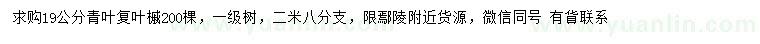求購(gòu)19公分青葉復(fù)葉槭