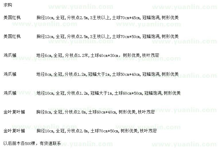 求購美國紅楓、雞爪槭、金葉復(fù)葉槭