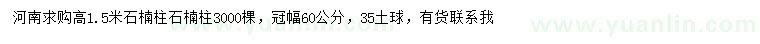 求購高1.5米石楠柱