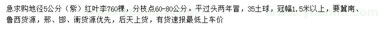 求購(gòu)地徑5公分紫葉李、紅葉李