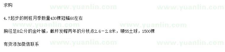 求購4.7公分以上樹樁月季、胸徑8公分金葉槭