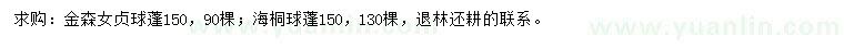 求購冠150公分金森女貞球、海桐球