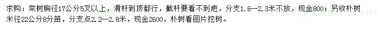 求購(gòu)胸徑17公分欒樹(shù)、米徑22公分樸樹(shù)