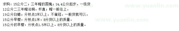 求購(gòu)國(guó)槐、法桐、白蠟等