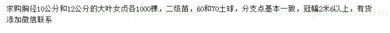 求購胸徑10、12公分大葉女貞