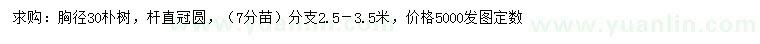 求購(gòu)胸徑30公分樸樹(shù)