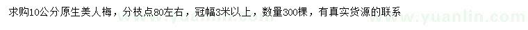 求購10公分美人梅