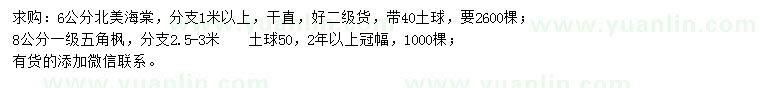 求購(gòu)6公分北美海棠、8公分五角楓