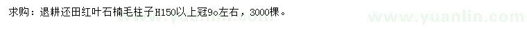 求購高150公分以上紅葉石楠柱