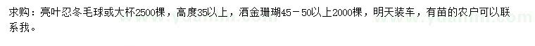 求購高35公分以上亮葉忍冬球、45-50公分灑金珊瑚