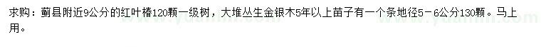 求購(gòu)9公分紅葉椿、地徑5-6公分叢生金銀木