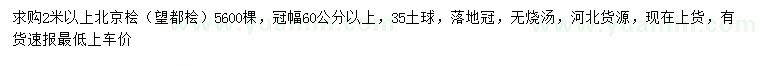 求購(gòu)2米以上北京檜、望都檜