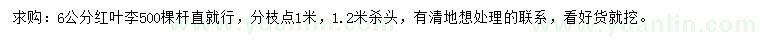 求購6公分紅葉李