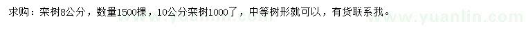 求購8、10公分欒樹