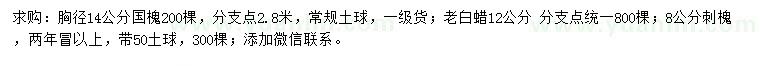 求購國槐、老白蠟、刺槐