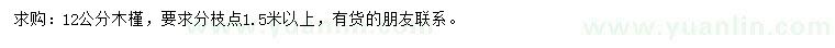 求購12公分木槿