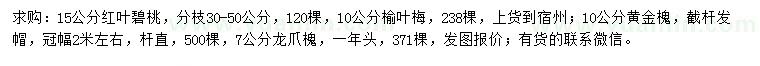 求購紅葉碧桃、榆葉梅、黃金槐等