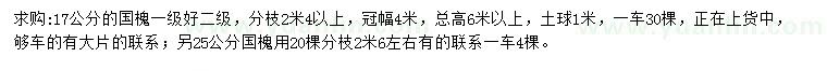求購17、25公分國槐