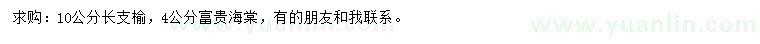 求購10公分長枝榆、4公分富貴海棠