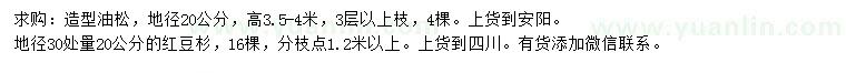 求購地徑20公分造型油松、30量20公分紅豆杉