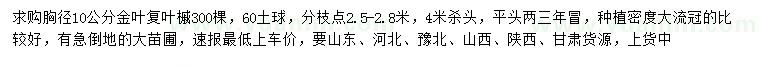 求購胸徑10公分金葉復(fù)葉槭