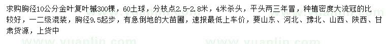 求購(gòu)胸徑9.5公分以上金葉復(fù)葉槭