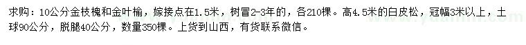 求購金枝槐、金葉榆、白皮松