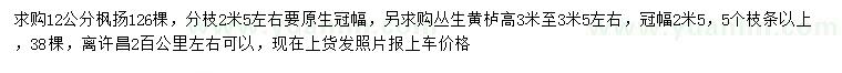求購12公分楓楊、高3-3.5米叢生黃櫨