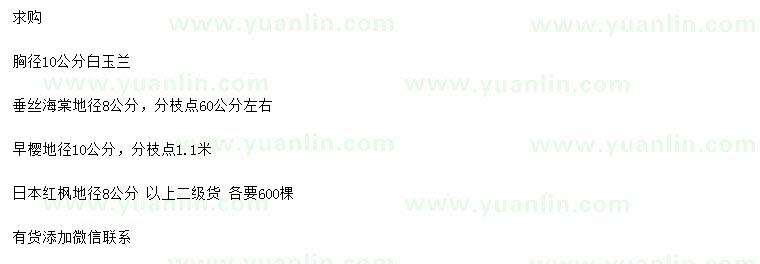 求購白玉蘭、垂絲海棠、早櫻等
