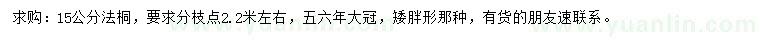 求購15公分法桐