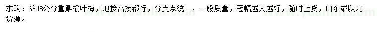 求購6、8公分重瓣榆葉梅