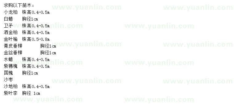 求購龍柏、白蠟、衛(wèi)矛等