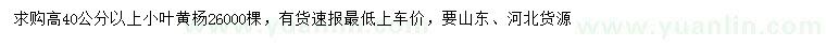 求購高40公分以上小葉黃楊