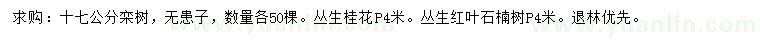 求購欒樹、無患子、叢生桂花等