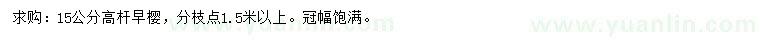 求購15公分高桿早櫻