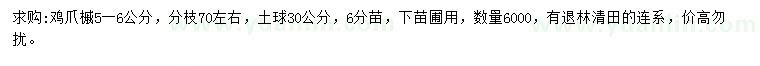 求購5-6公分雞爪槭