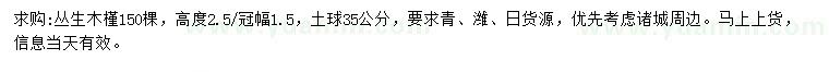 求購高2.5米叢生木槿