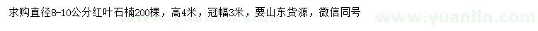 求購8-10公分紅葉石楠