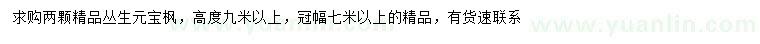 求購高9米以上叢生元寶楓