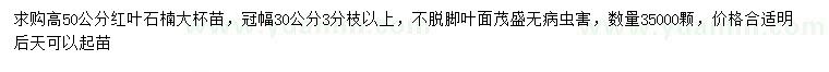 求購高50公分紅葉石楠