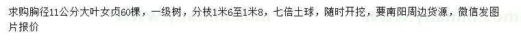 求購胸徑11公分大葉女貞